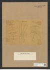 Diatomeae indet. Zeichnungen Sammlung Grunow Nr. 7737 (NHMW-BOT-W0376956)